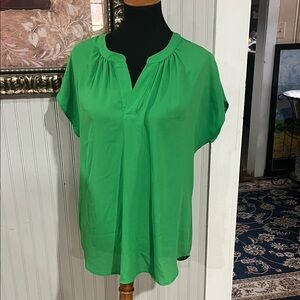 Roz & Ali Vibrant Green Blouse JM